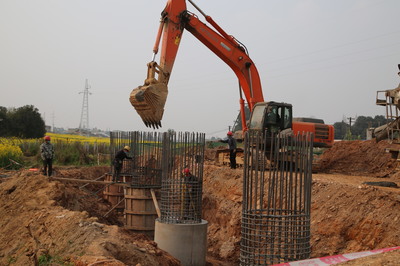 東坡區(qū)成立保障專組，為項(xiàng)目建設(shè)“滿血復(fù)活”注入強(qiáng)勁動(dòng)力